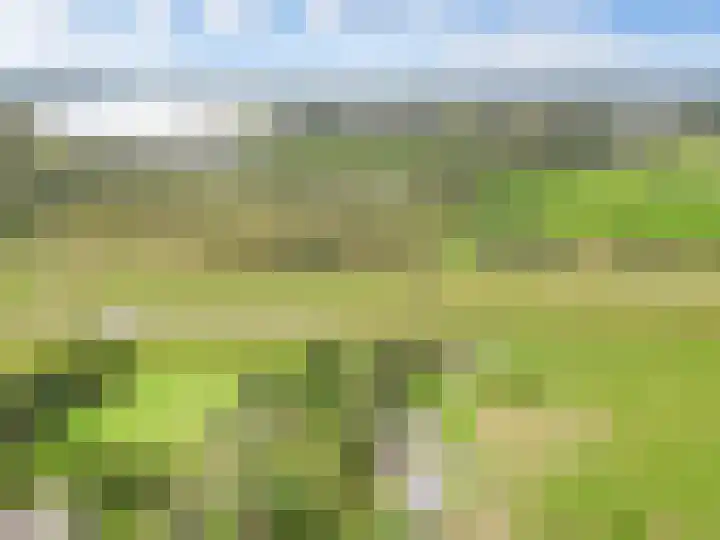 Pannerdensedijk 4 Aerdt thumbnail 47