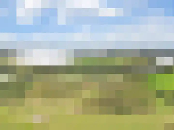 Pannerdensedijk 4 Aerdt thumbnail 48