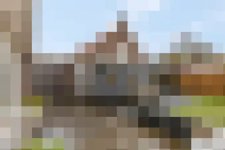 Pannerdenseweg 117 Doornenburg thumbnail 48