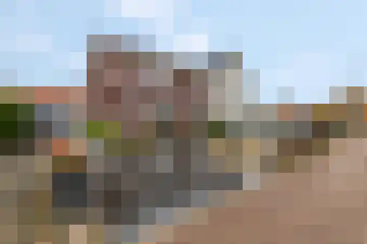 Pannerdenseweg 117 Doornenburg thumbnail 5