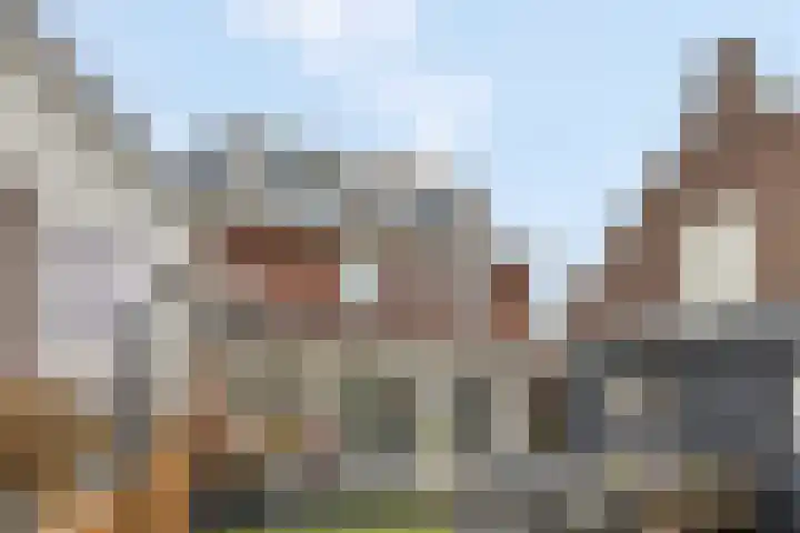 Pannerdenseweg 117 Doornenburg thumbnail 53