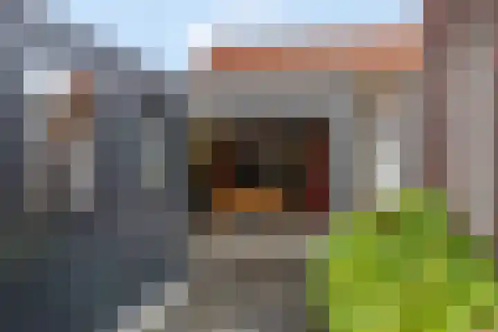 Pannerdenseweg 117 Doornenburg thumbnail 55