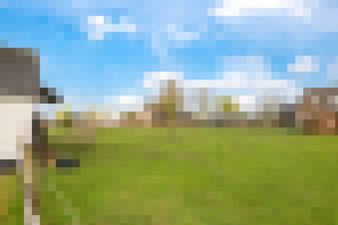 Pannerdenseweg 70 Doornenburg thumbnail 52