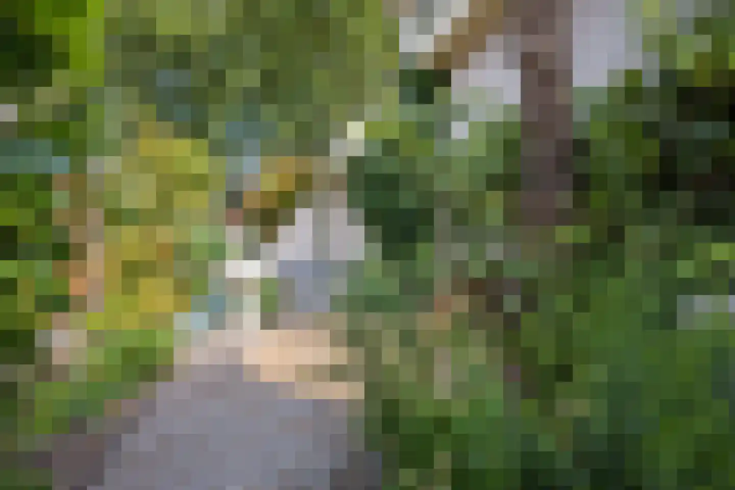 Pannerdenseweg 75 Doornenburg thumbnail 31
