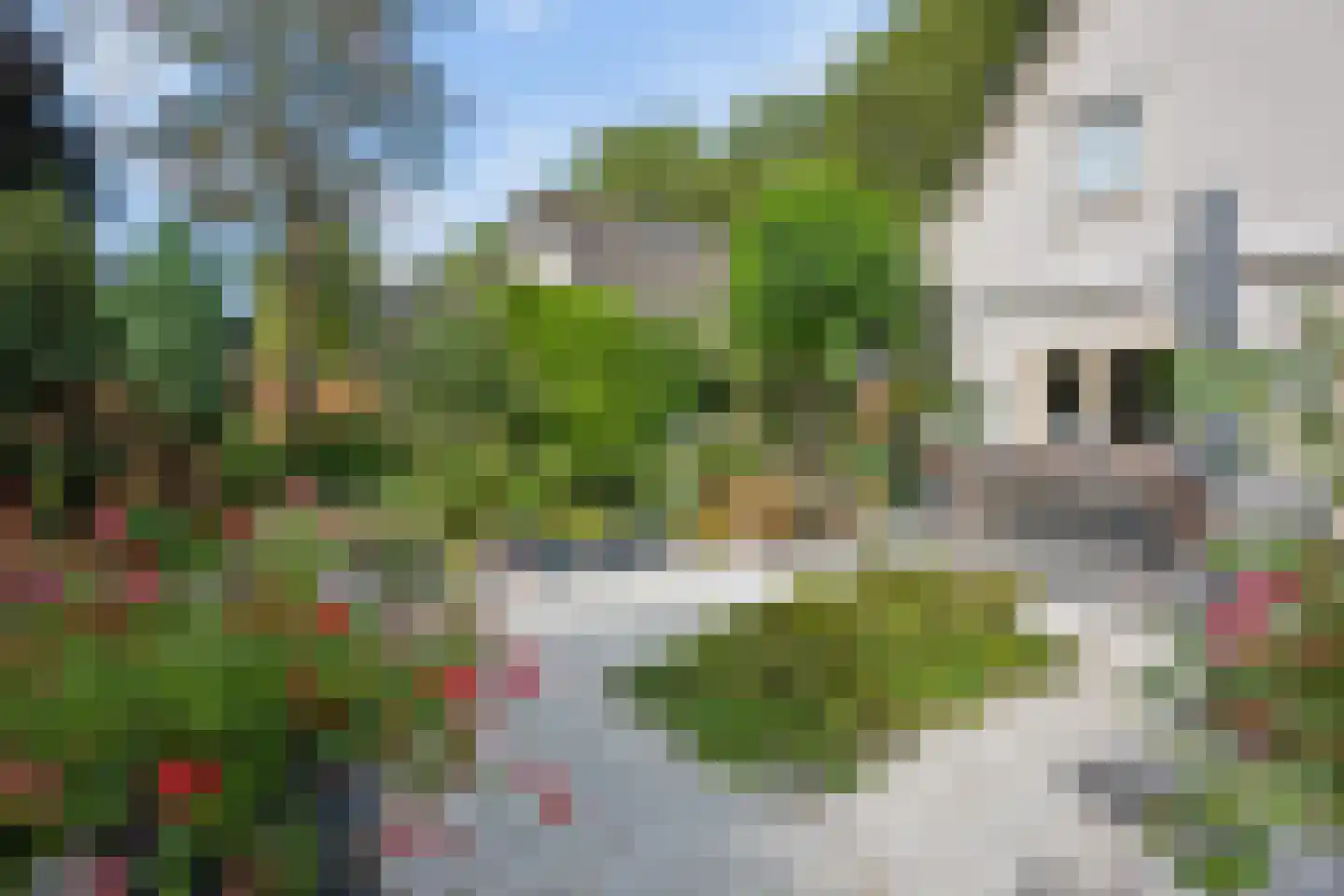 Pannerdenseweg 75 Doornenburg thumbnail 32