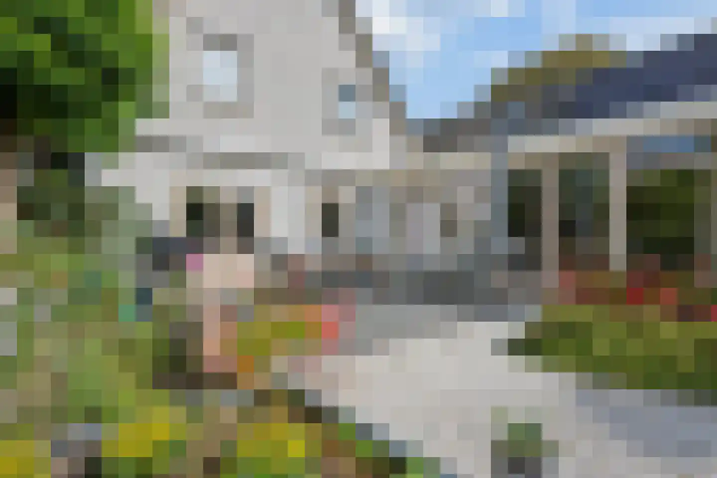 Pannerdenseweg 75 Doornenburg thumbnail 34