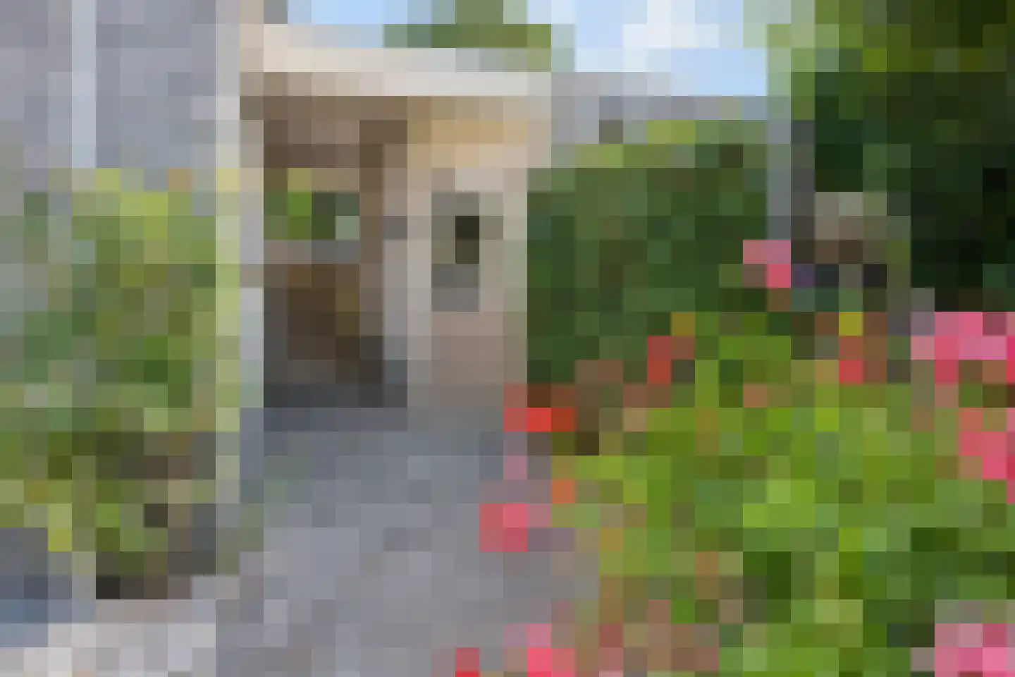 Pannerdenseweg 75 Doornenburg thumbnail 35