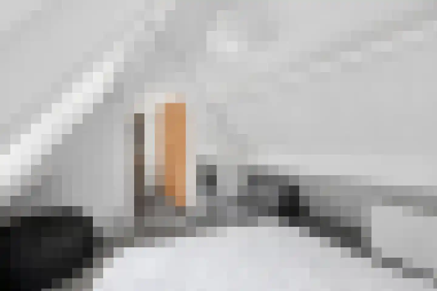 Pannerdenseweg 75 Doornenburg thumbnail 58