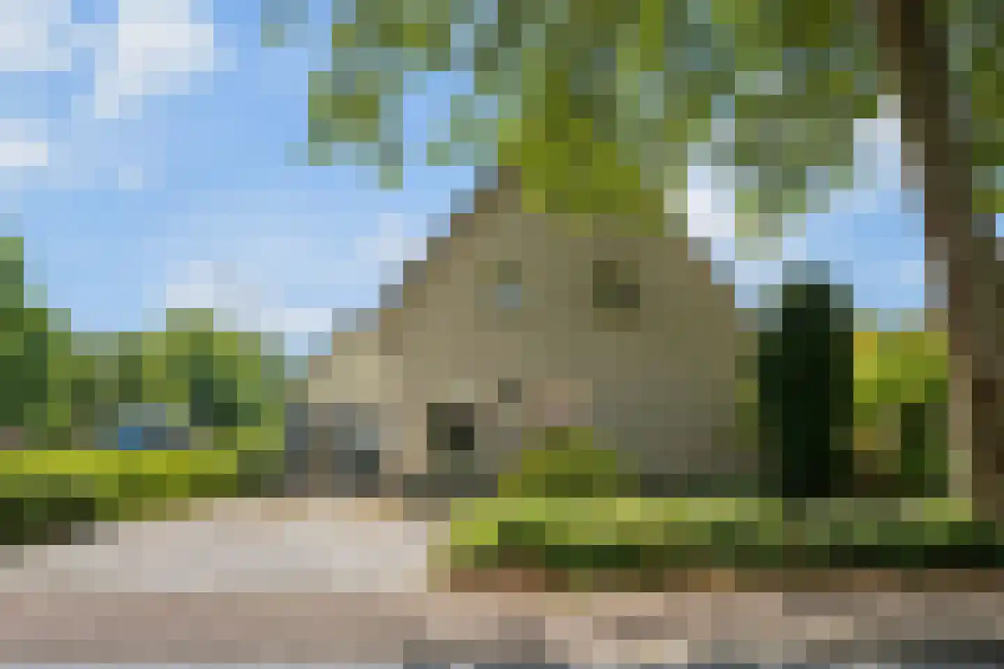 Pannerdenseweg 75 Doornenburg thumbnail 6