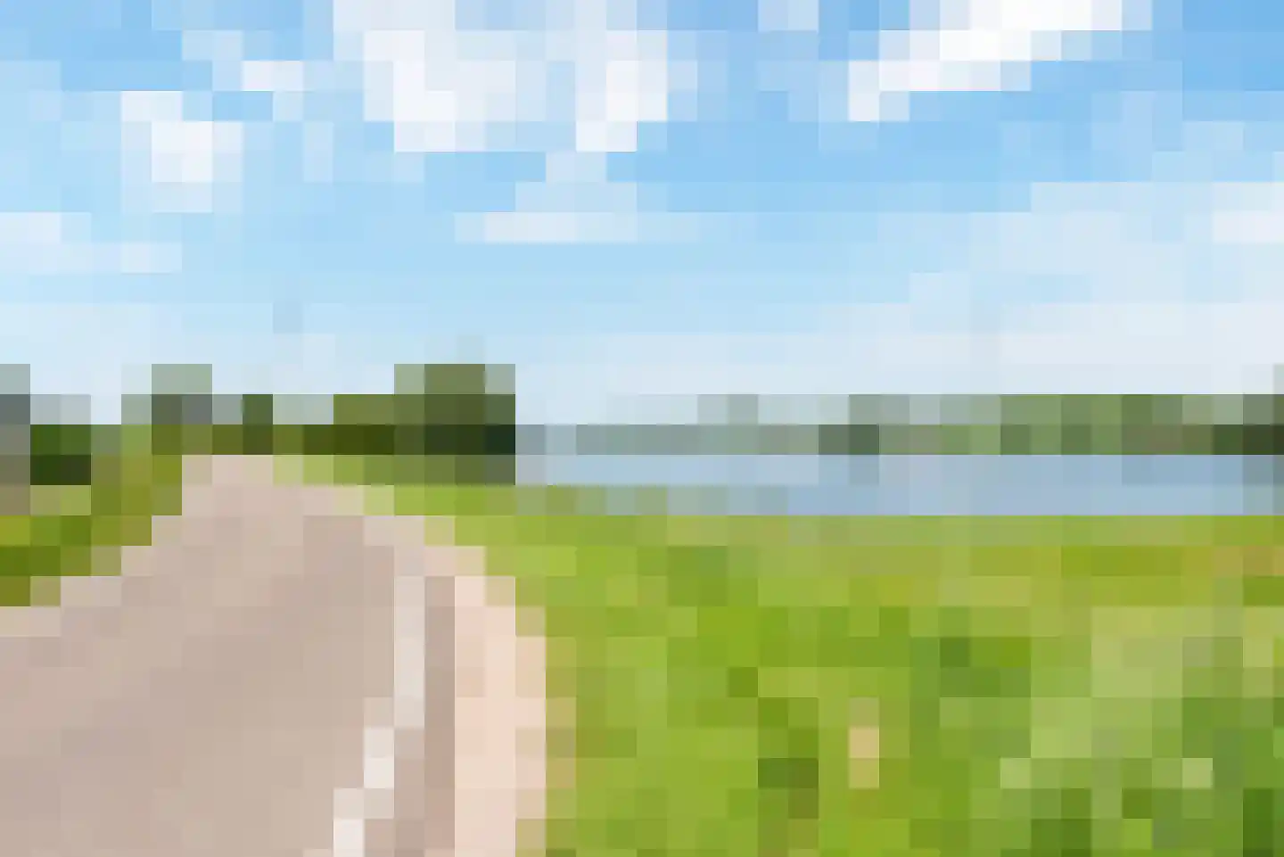Pannerdenseweg 75 Doornenburg thumbnail 65