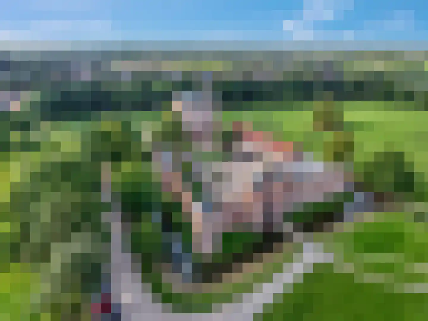 Pannerdenseweg 75 Doornenburg thumbnail 66