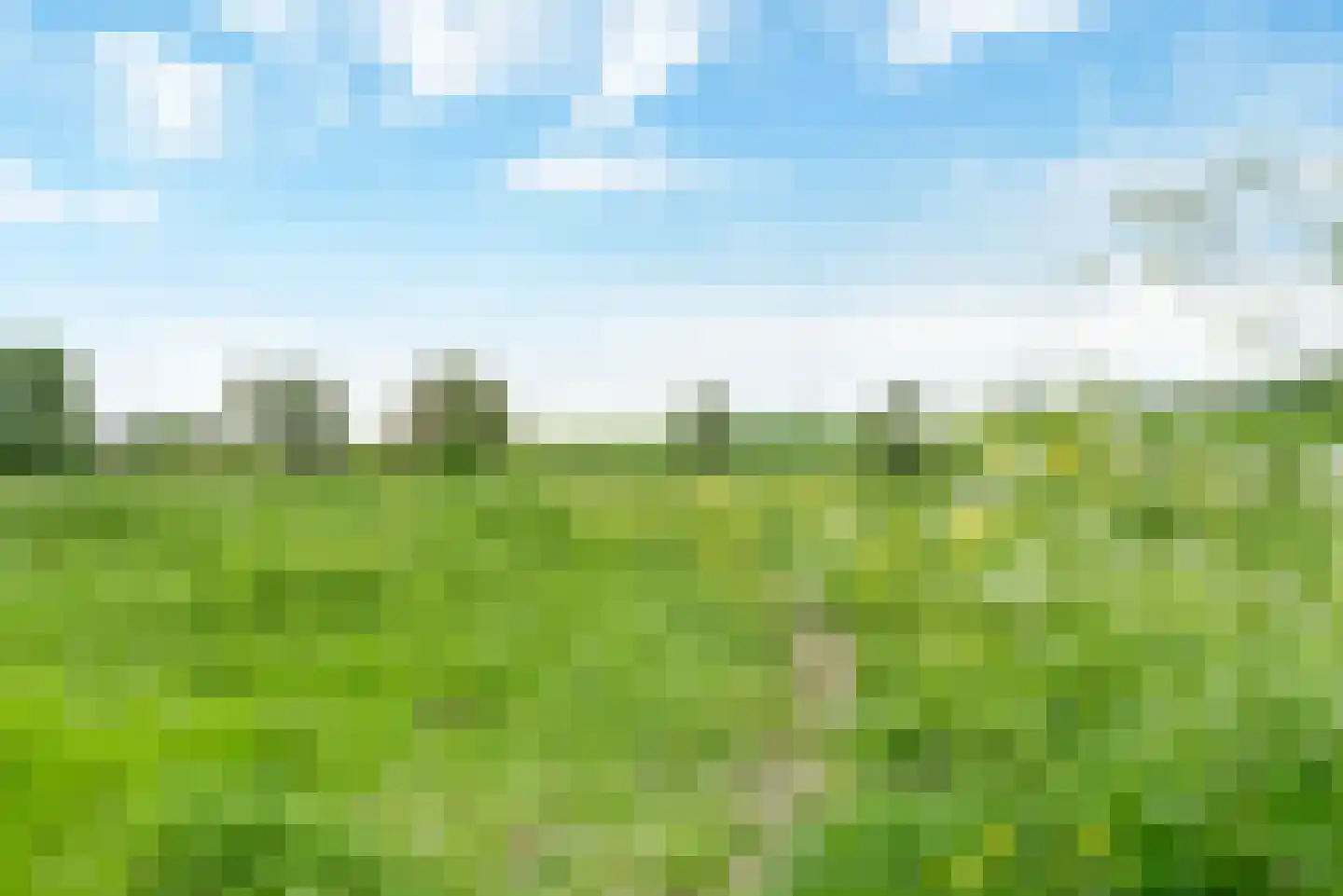 Pannerdenseweg 75 Doornenburg thumbnail 67