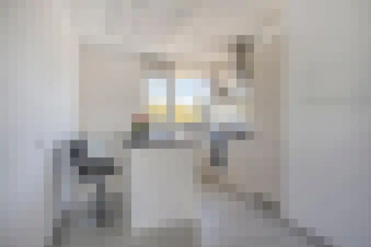 Pannerdenstraat 43 Amsterdam thumbnail 7