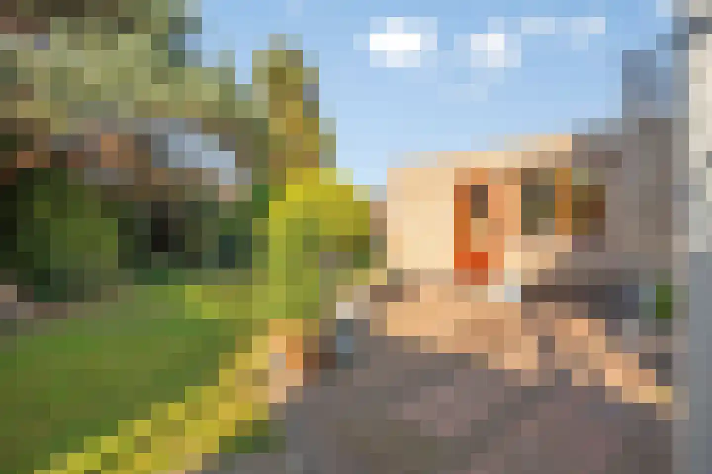 Panneshofstraat 20 Holtum thumbnail 23