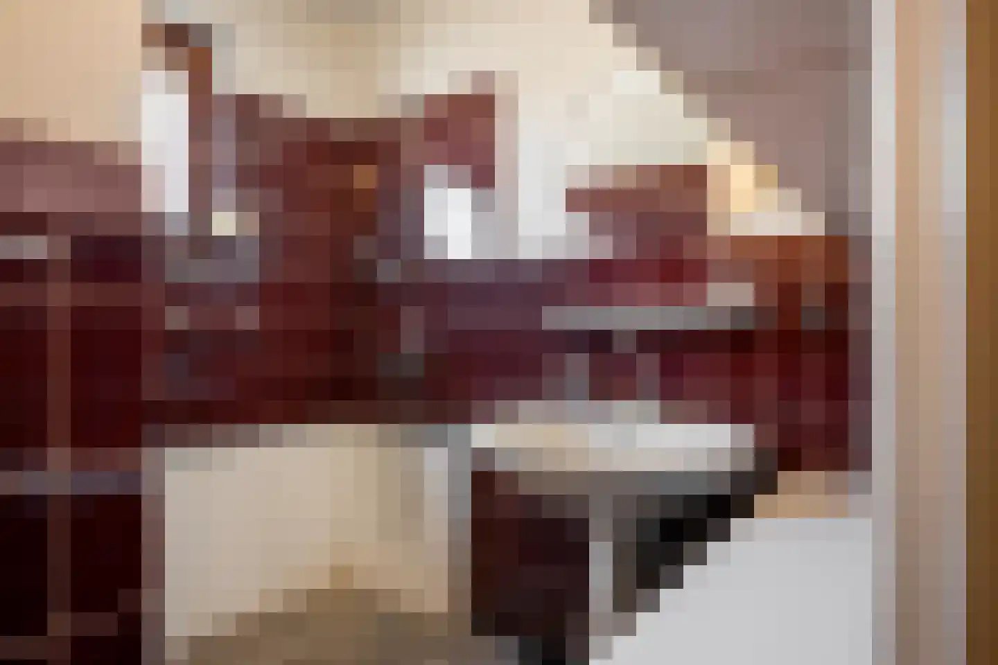 Panneshofstraat 20 Holtum thumbnail 32