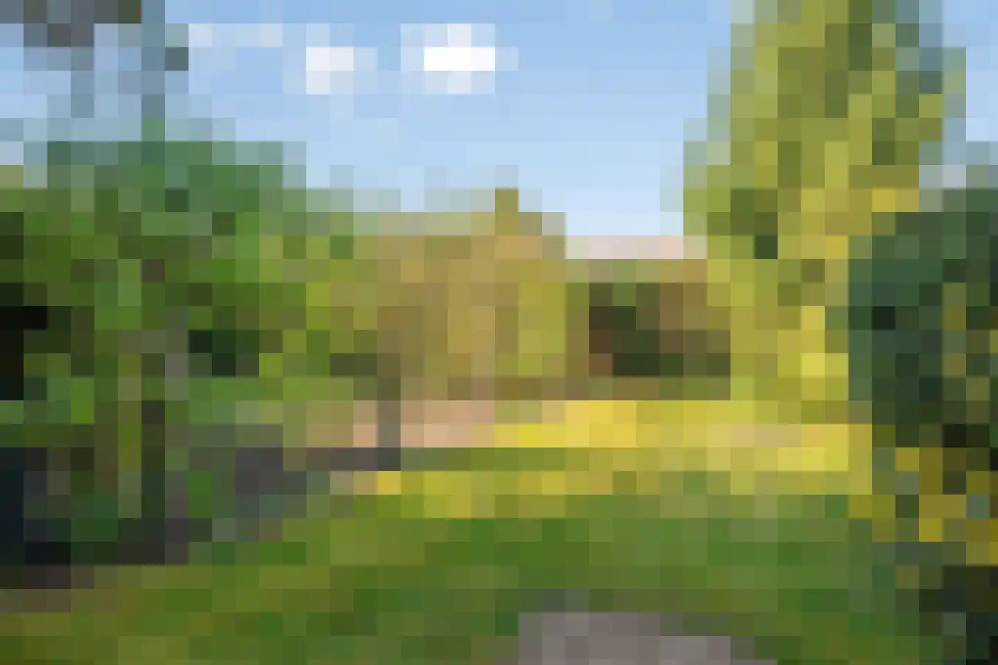 Panneshofstraat 20 Holtum thumbnail 4
