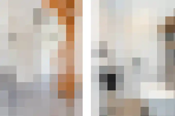Pannestraat 1 Urmond thumbnail 11