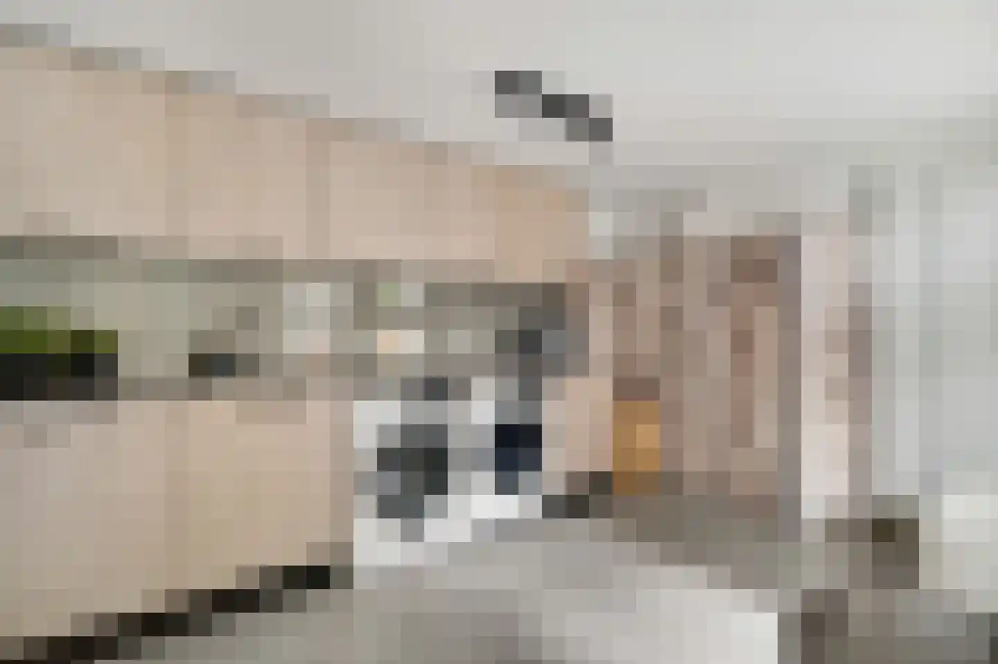 Pannestraat 1 Urmond thumbnail 11