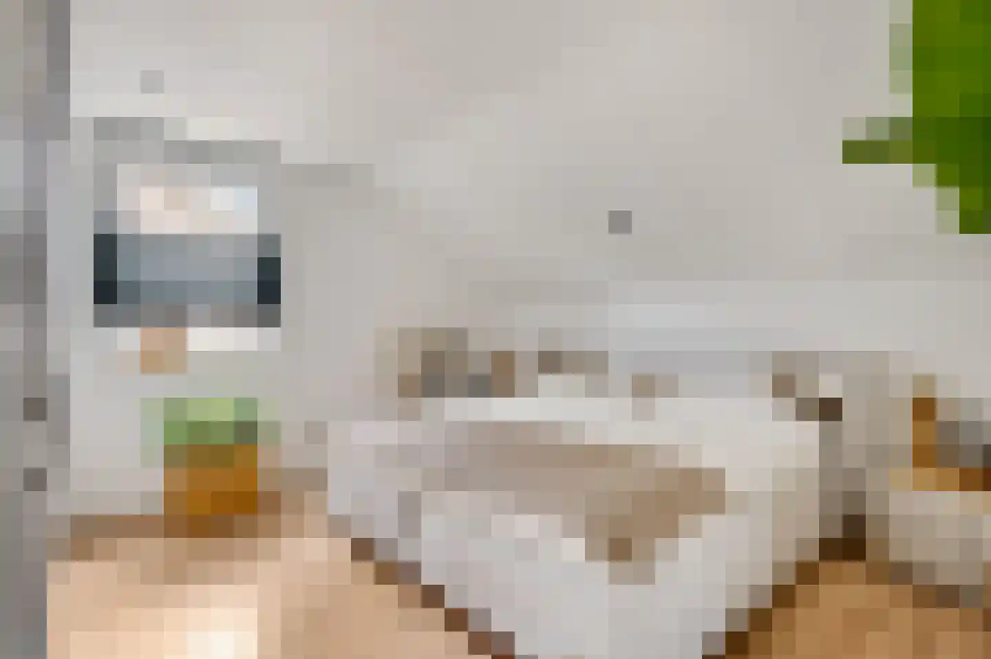 Pannestraat 1 Urmond thumbnail 14