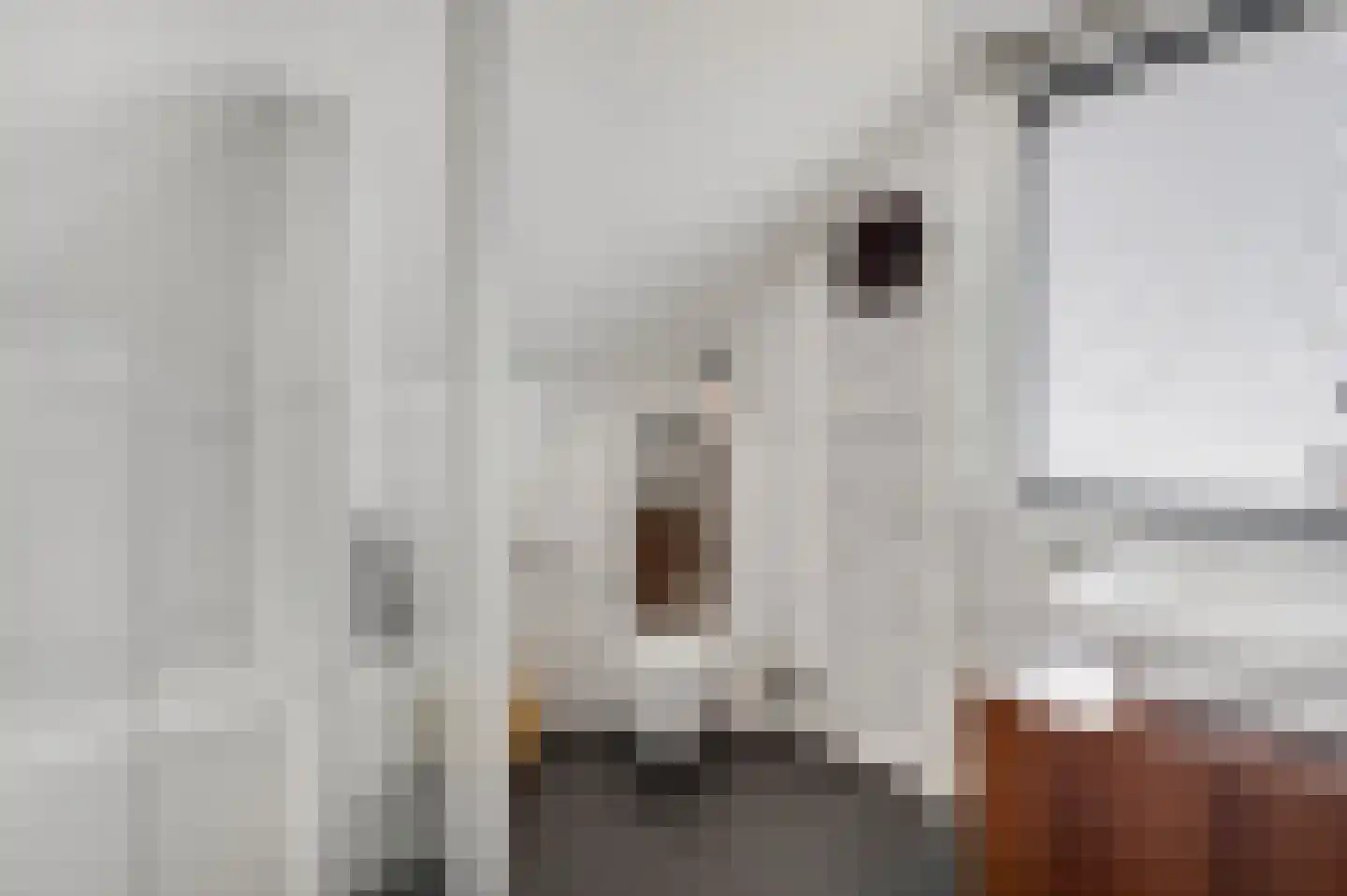Pannestraat 1 Urmond thumbnail 17