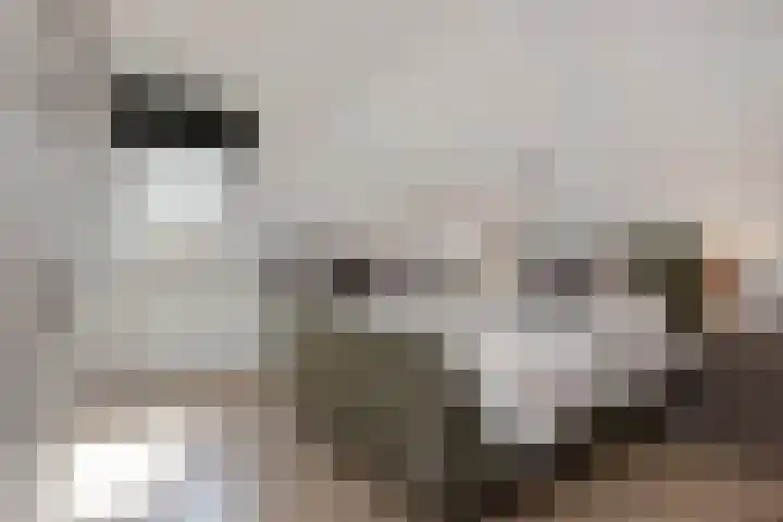 Pannestraat 1 Urmond thumbnail 26