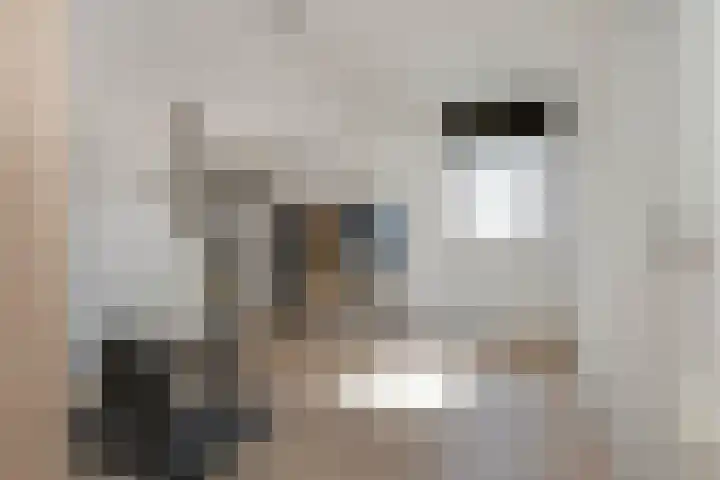 Pannestraat 1 Urmond thumbnail 27