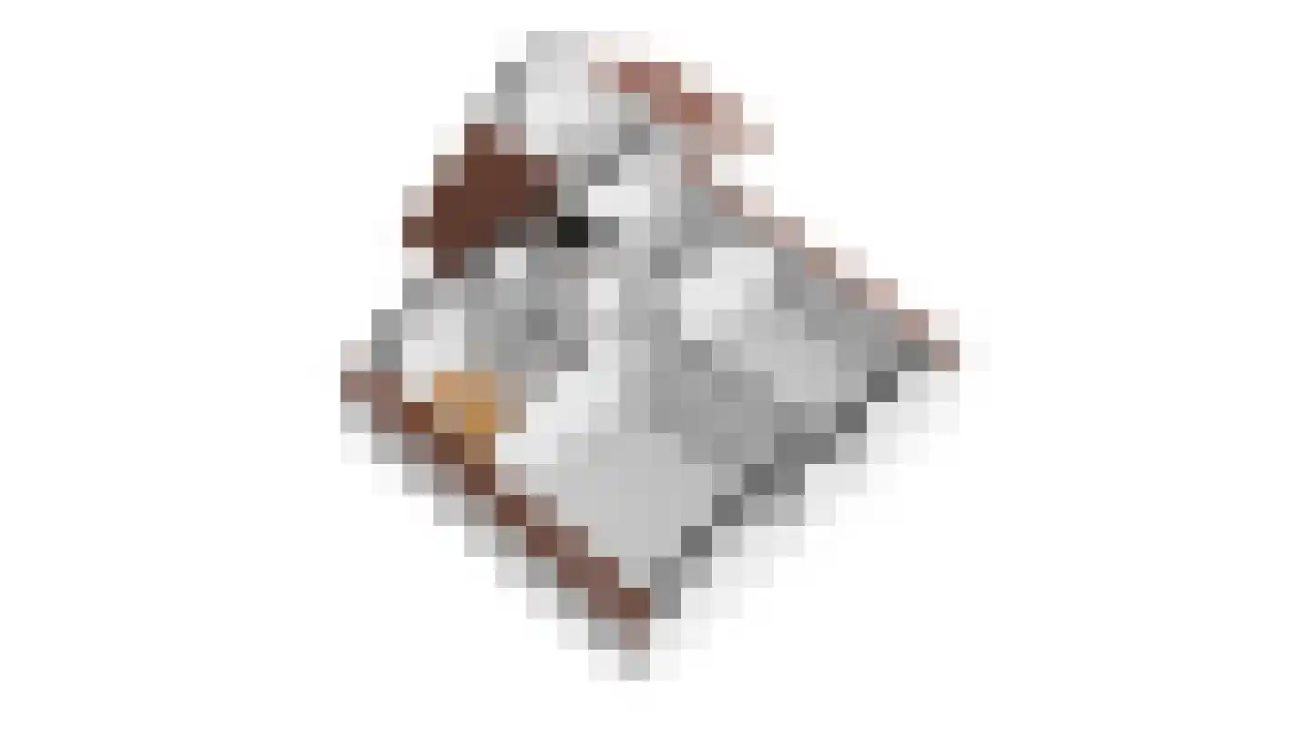 Pannestraat 1 Urmond thumbnail 30