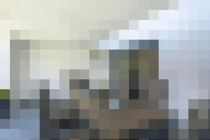 Pannestraat 1 Urmond thumbnail 34