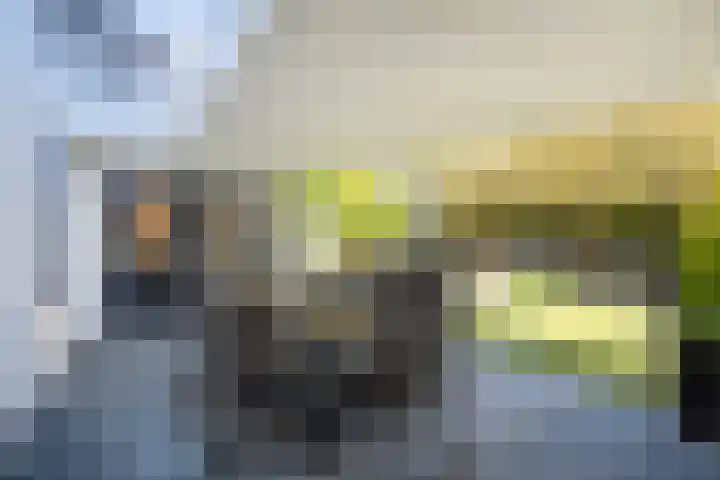 Pannestraat 1 Urmond thumbnail 36