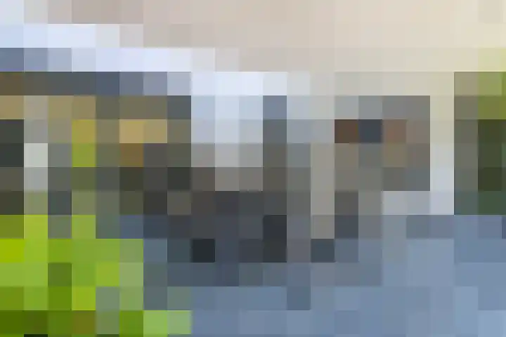 Pannestraat 1 Urmond thumbnail 37