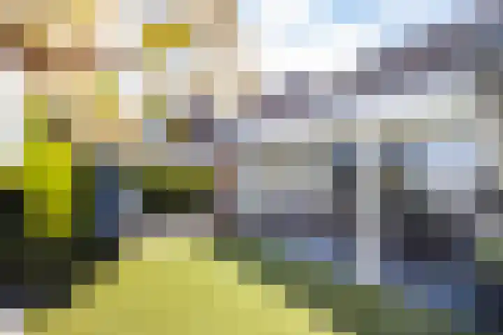 Pannestraat 1 Urmond thumbnail 41