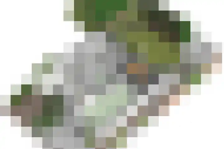 Pannestraat 1 Urmond thumbnail 44