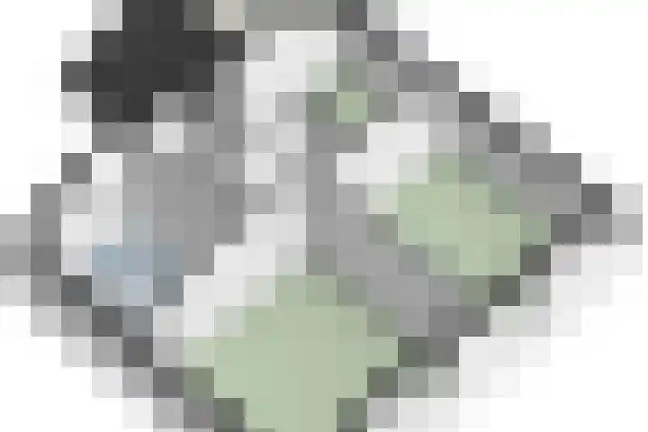 Pannestraat 1 Urmond thumbnail 48