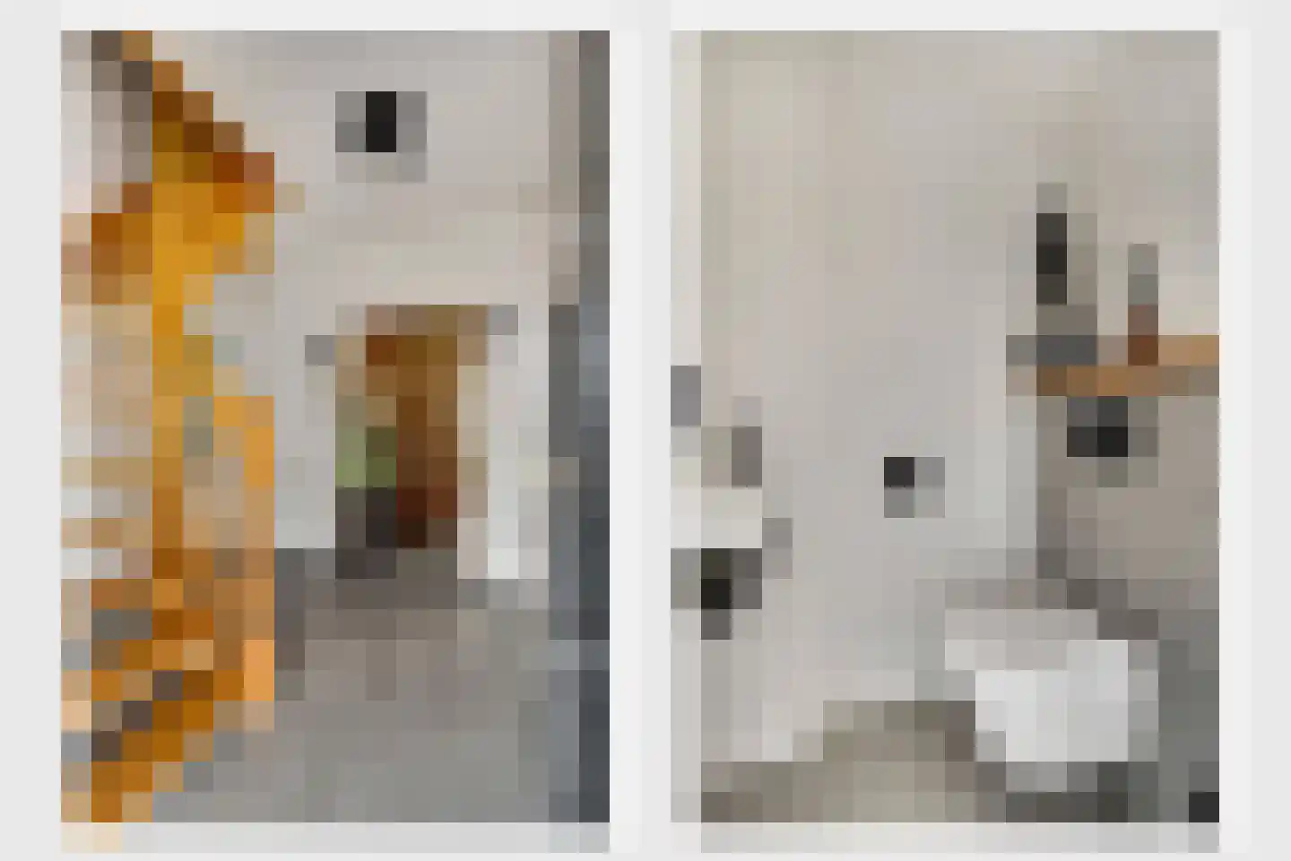 Pannestraat 1 Urmond thumbnail 5