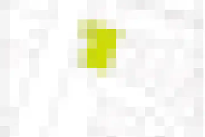 Pannestraat 1 Urmond thumbnail 53