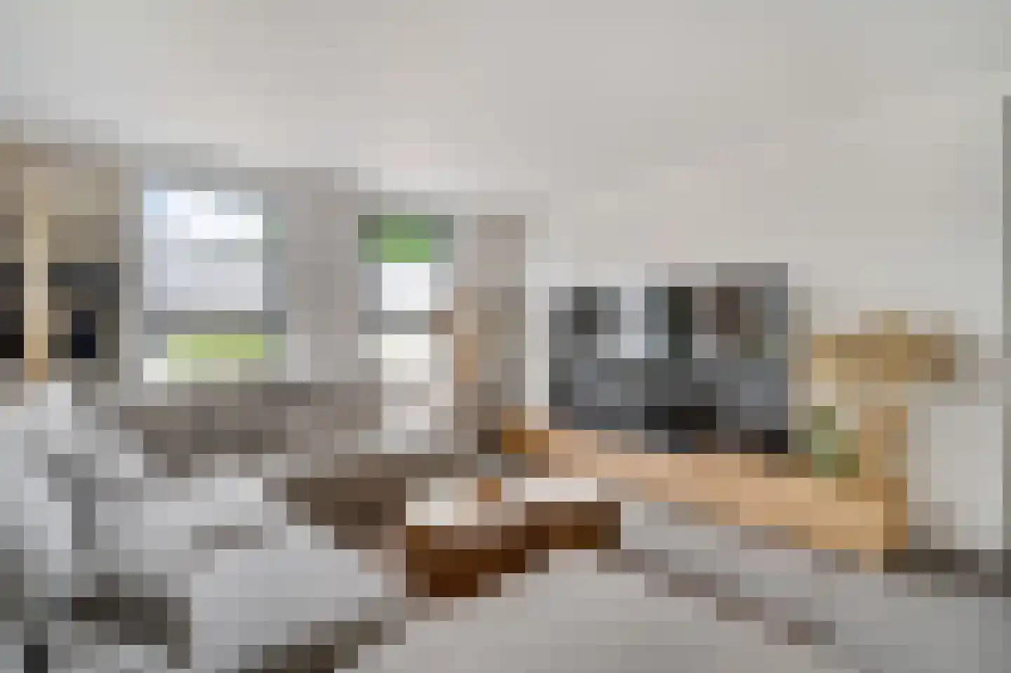 Pannestraat 1 Urmond thumbnail 6