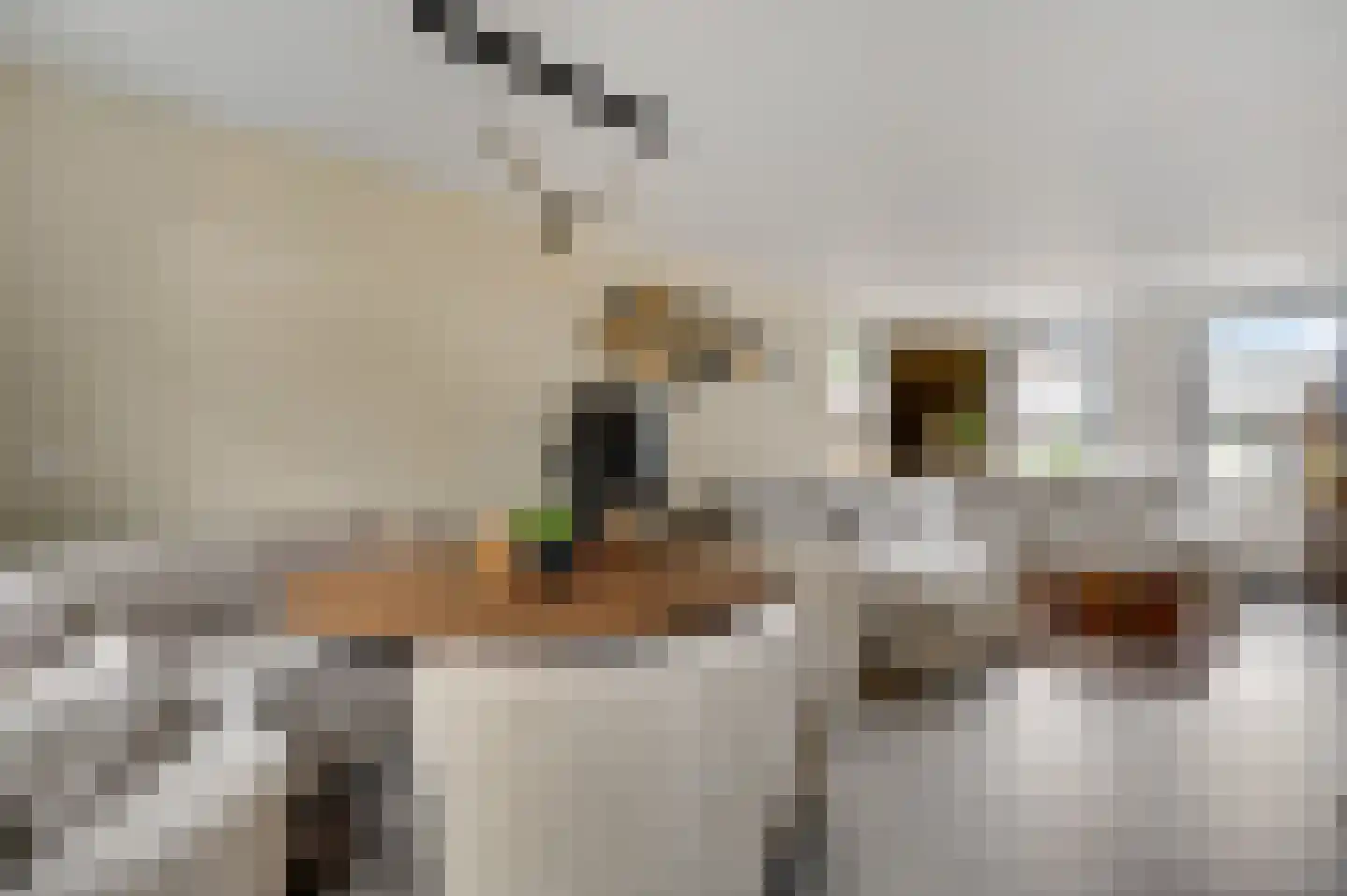 Pannestraat 1 Urmond thumbnail 7