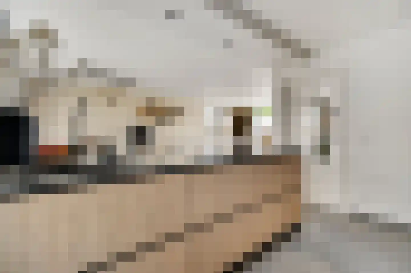 Pannestraat 1 Urmond thumbnail 9