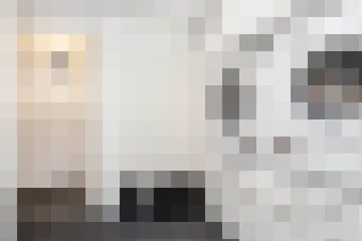Pannestraat 23 Urmond thumbnail 32