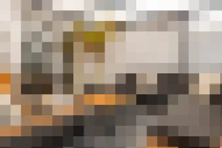 Pannestraat 23 Urmond thumbnail 51