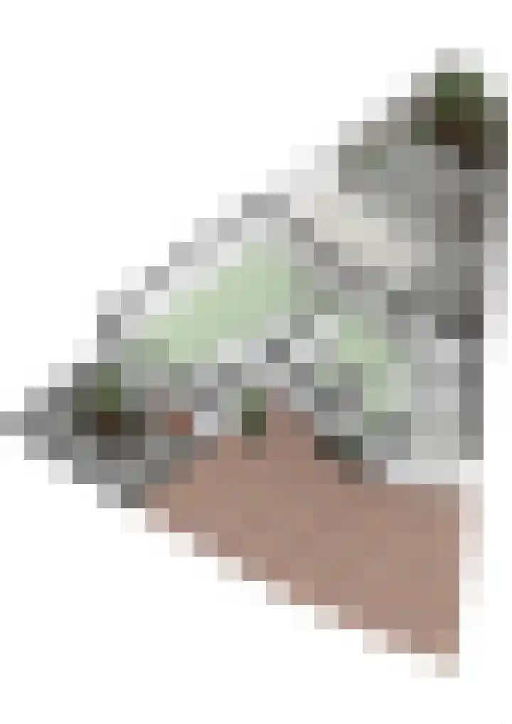 Pannestraat 23 Urmond thumbnail 64