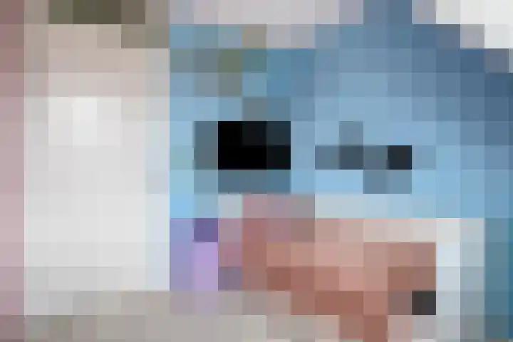 Panneveld 14 Nuenen thumbnail 13