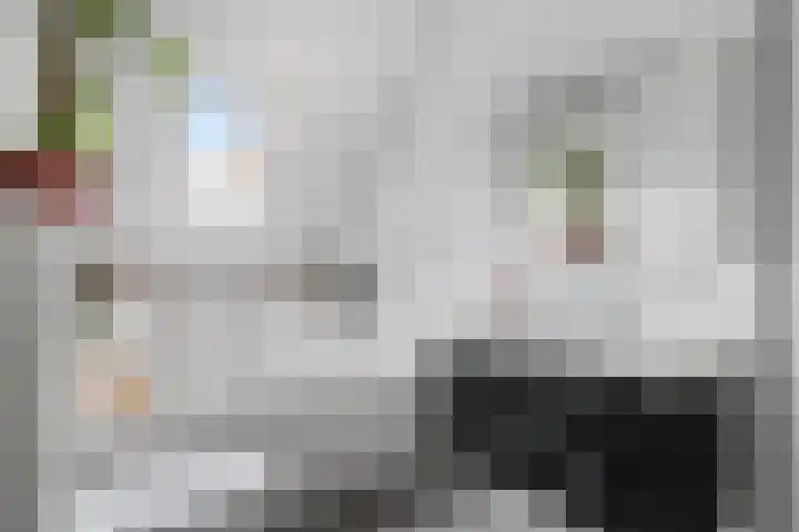 Panneveld 14 Nuenen thumbnail 15