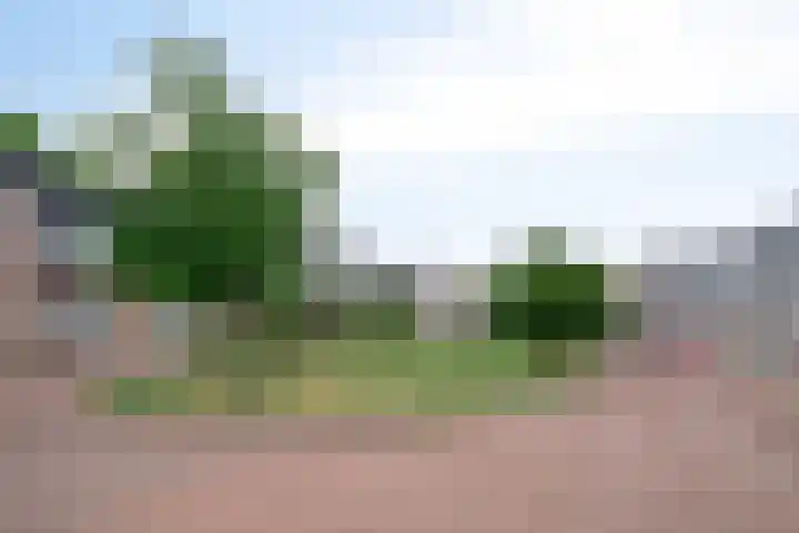 Panneveld 14 Nuenen thumbnail 24