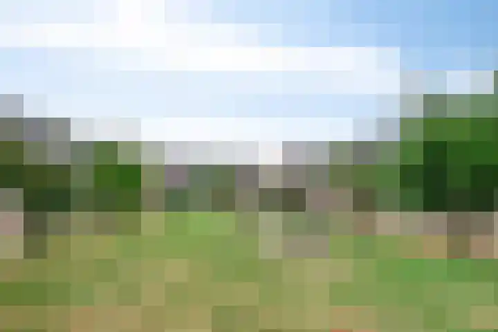 Panneveld 14 Nuenen thumbnail 25