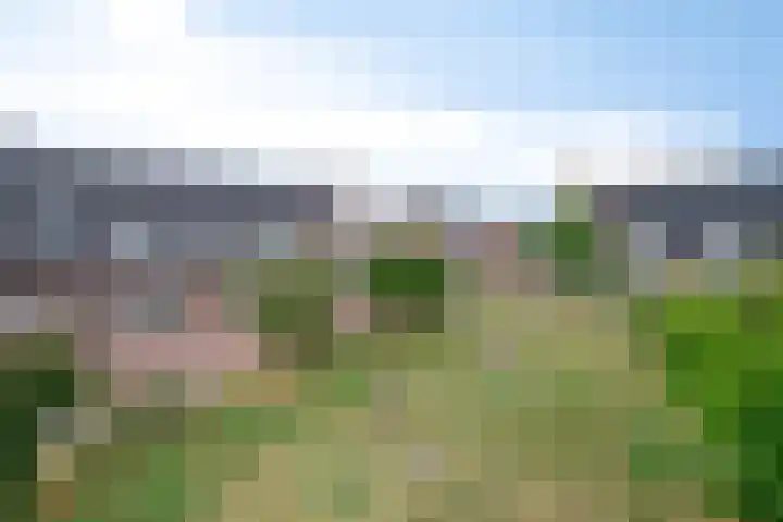 Panneveld 14 Nuenen thumbnail 26