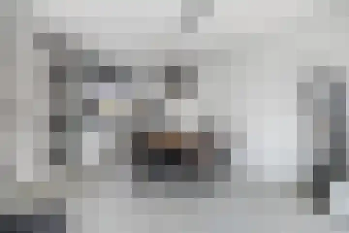 Panneveld 14 Nuenen thumbnail 8