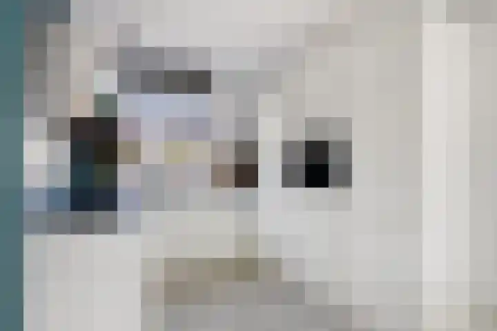 Panneveld 14 Nuenen thumbnail 9