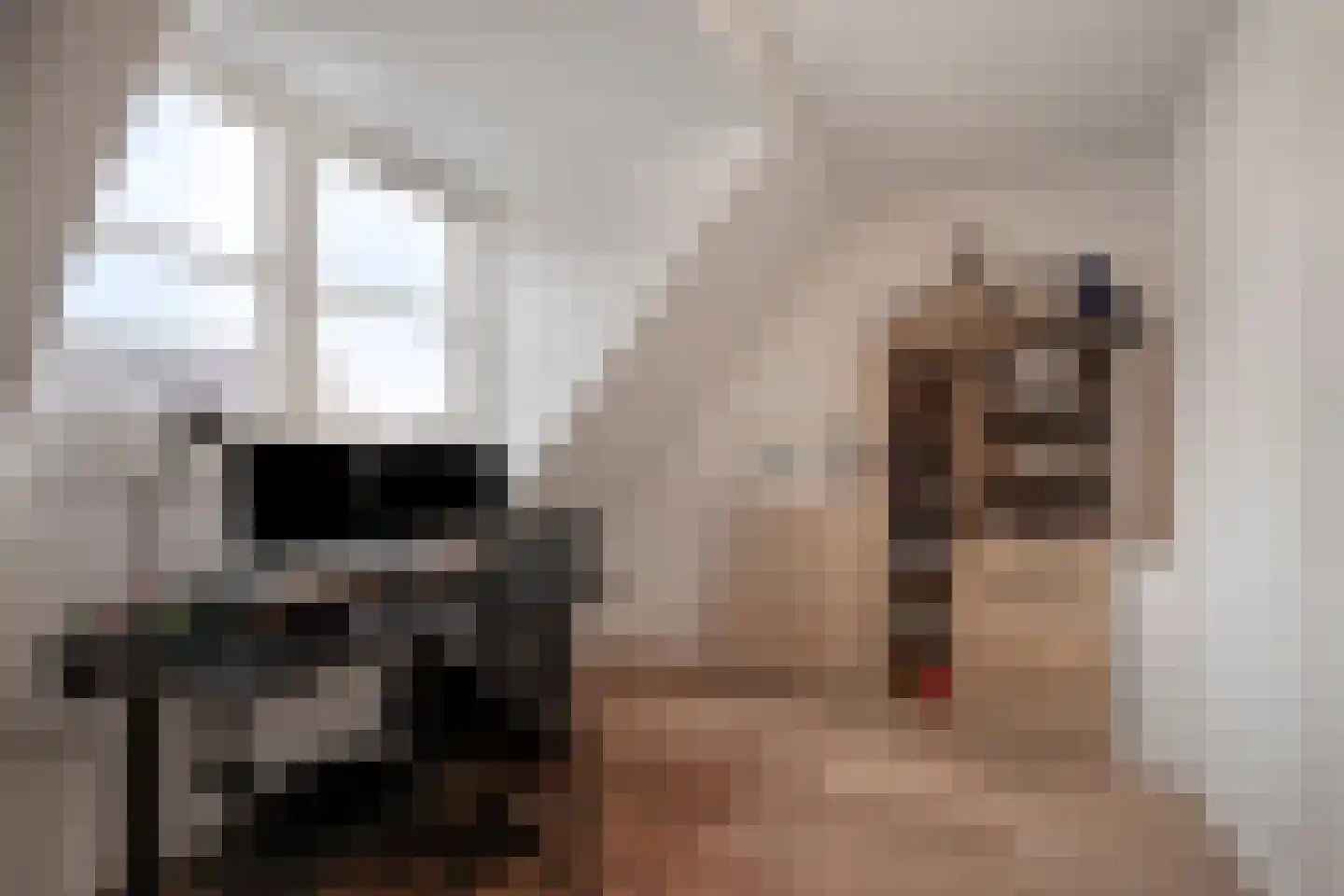 Panneveld 18 Nuenen thumbnail 17