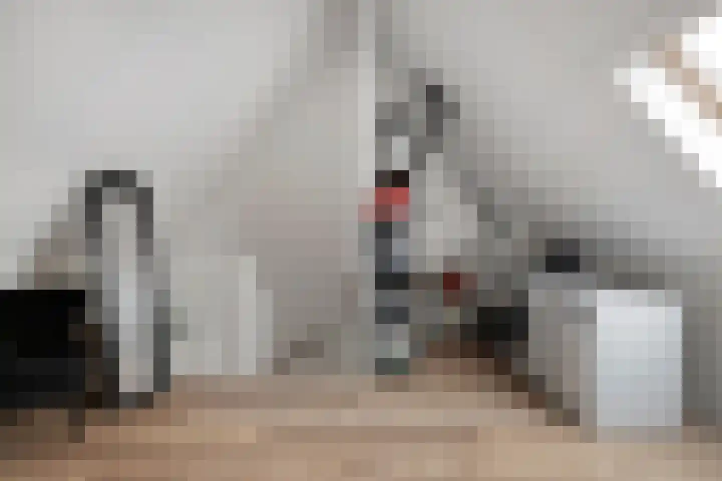 Panneveld 18 Nuenen thumbnail 21